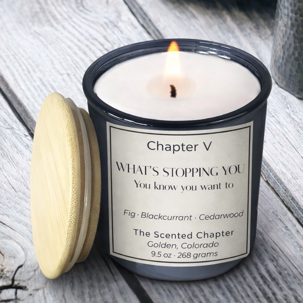 Ch V - What's Stopping You